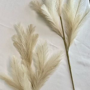 Pampass Grass Stems (pair)